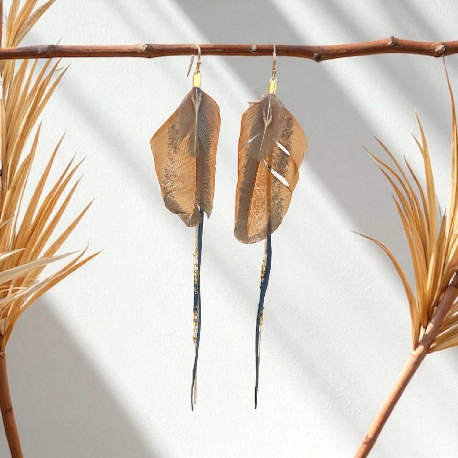 Plumes